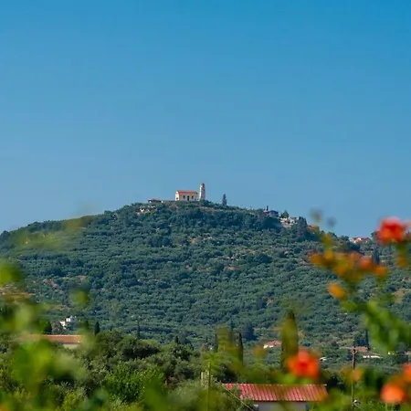 Willa Zakynthos Traditional House *